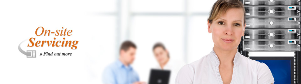 On-site Services &raquo; Find out more